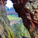 Bradgate Park, Leicester