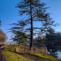 Bradgate Park, Leicester