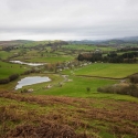 Fforest fields Campsite in Hundred House and Glamping