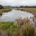 Fforest fields Campsite in Hundred House pond