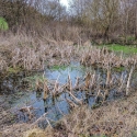 Ffores tfields Campsite in Hundred House, walk