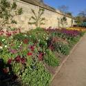 Oxford Botanical Gardens