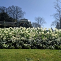 Waddesdon Manor, The Aviary