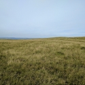 Fforest Fields Campsite, on the hill above the site