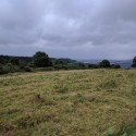 National Trust, Croft Castle walk to the Iron Age Hill Fort