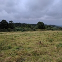 National Trust, Croft Castle walk to the Iron Age Hill Fort