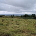 National Trust, Croft Castle walk to the Iron Age Hill Fort