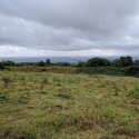 National Trust, Croft Castle walk to the Iron Age Hill Fort