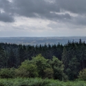 National Trust, Croft Castle walk to the Iron Age Hill Fort