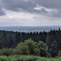 National Trust, Croft Castle walk to the Iron Age Hill Fort