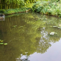 Claude Monet, Giverny