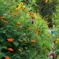 Claude Monet, Giverny