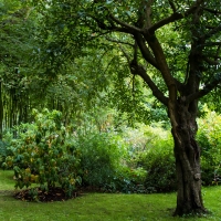 Claude Monet, Giverny