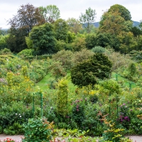 Claude Monet, Giverny