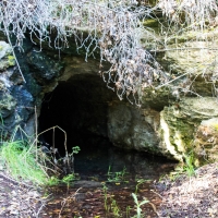 Bendigo gold mine