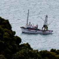 Nugget Point