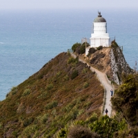 Nugget Point