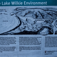 Lake Wilkie