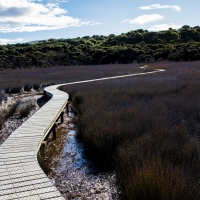 Tautuka Estuary