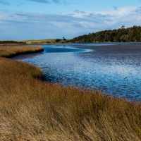 Tautuka Estuary