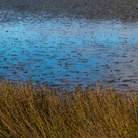 Tautuka Estuary