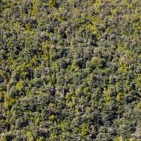 Manapouri Lake