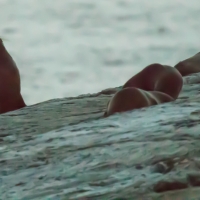 New Zealand Fur Seals - Doubtful Sound