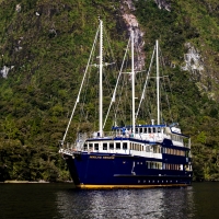 Fiordland Navigator