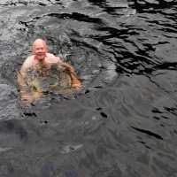 Swimming in Doubtful Sound