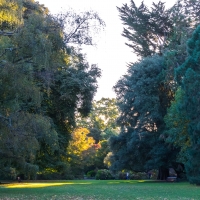 Christchurch Hagley Park