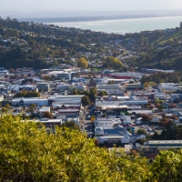 Nelson