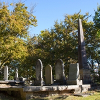 Nelson cemetery