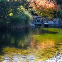 Japanese Gardens