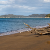 Tata beach in the Abel Tasman