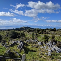 Drive over the Takaka Hill