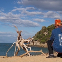 Tata beach in the Abel Tasmin