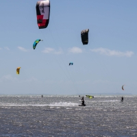 Devonport, Cheltenham Beach