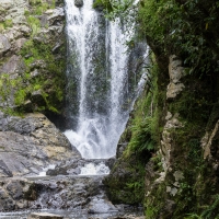 Waipu Gorge, Piroa Falls