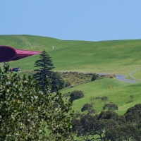 Gibbs Farm, Sculpture Park