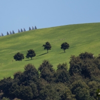 Gibbs Farm, Sculpture Park