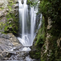 Waipu Gorge, Piroa Falls