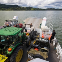 The South to North Tractor trek at Rawene Ferry