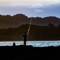 Puriri Bay Campsite