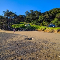 Puriri Bay Campsite