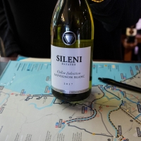 Sileni Vinyard