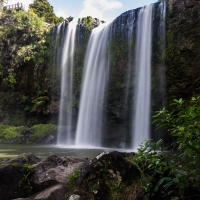 Whangarei Curtain Waterfall