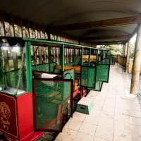 Driving Creek - Top Station