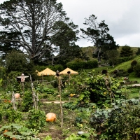 Hobbiton