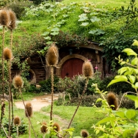 Hobbiton