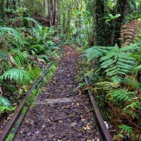 Mitchells Gully Gold